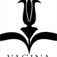 Illustration for article titled Neuroscientists take aim at Naomi Wolfs theory of the conscious vagina